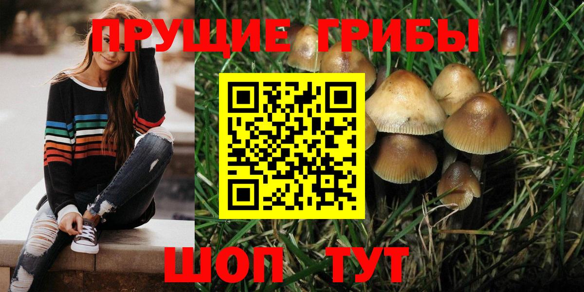 Галлюциногенные грибы Psilocybe  Вход с VPN  купить  цена  Нурлат 